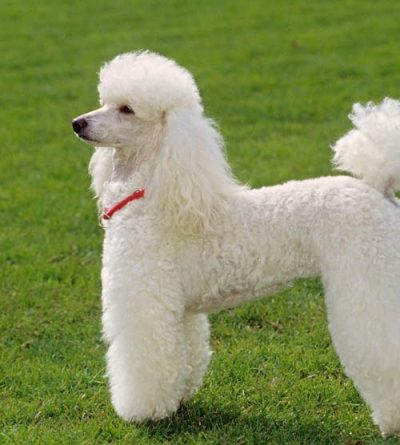 0138f84006cea6be4c4e9d47e1ab9b6d