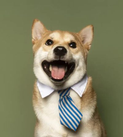 041e23e5ae169b48ae5ee3d65867d33a