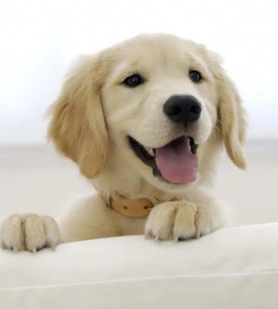 167c940a2c6d0f79d66743950308a70e