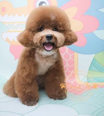 dbb03fa7f4068f4c6b21483c30071442